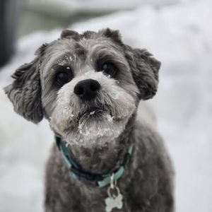 Meet your Posher, Christal